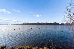 JACQUES TATILAAN 143-61.jpg